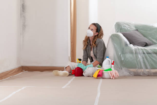 Reliable Mold Remediation contractor in Garrett, TX by Cheap Mold Removal